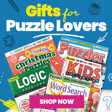 Gifts for puzzle lovers